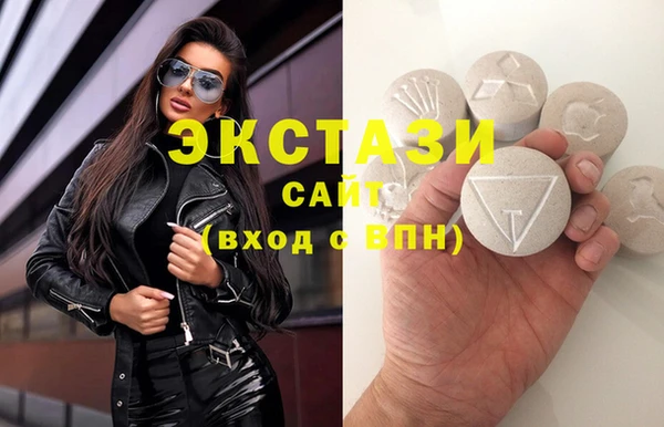 ECSTASY Бородино